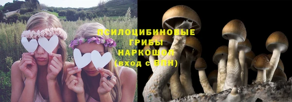 мескалин Бугульма
