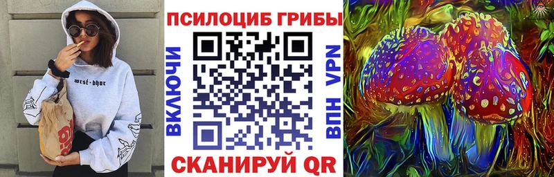 Галлюциногенные грибы прущие грибы  наркошоп  Кольчугино 
